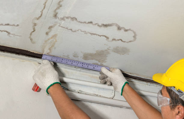 Reliable Water Damage contractor in Minneapolis, KS by Water Damage Irwin